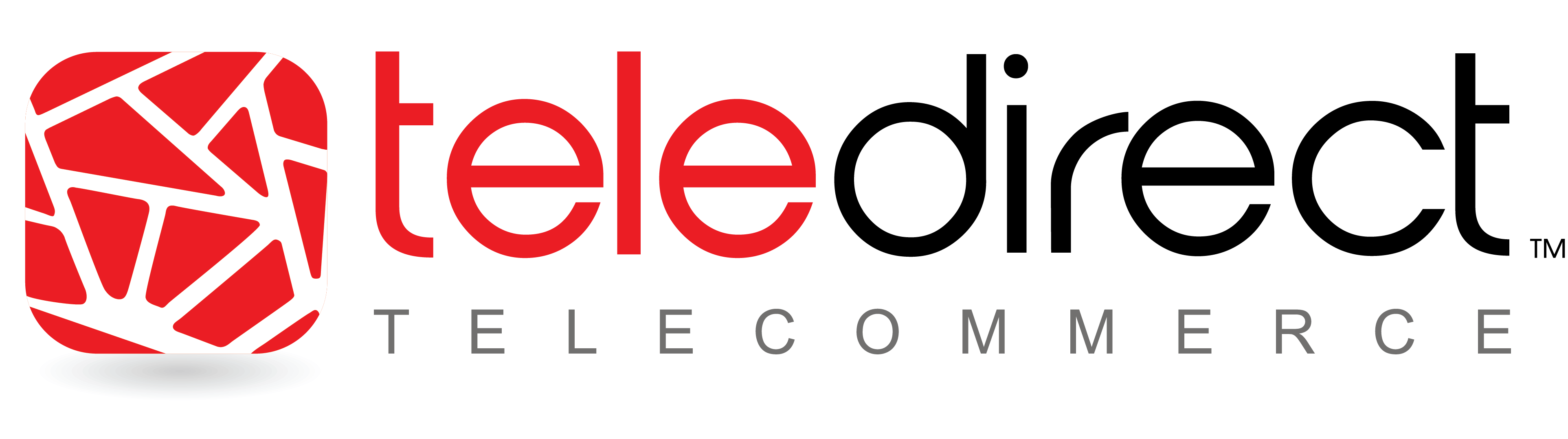 Teledirect Logo