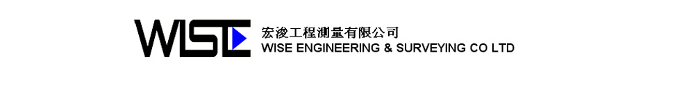 wise engineering & surveying co. ltd. Logo